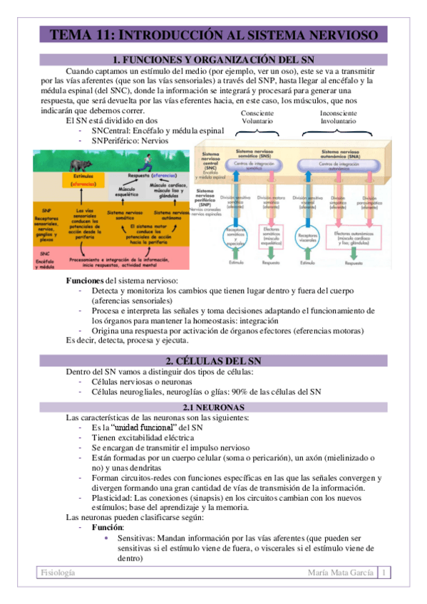 Miniatura del documento TEMA 11. Introducción al SN