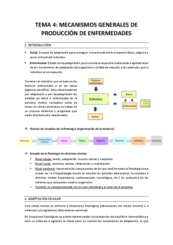 Miniatura del documento Resumen-tema-4.pdf