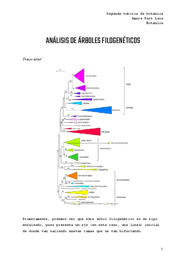 Miniatura del documento Arboles-filogeneticos.pdf