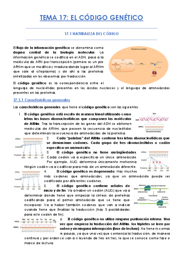 Miniatura del documento TEMA-17.pdf