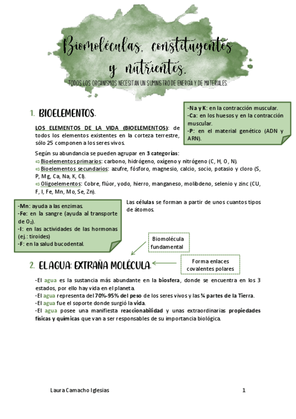 Miniatura del documento Tema-1-biomoleculas.pdf