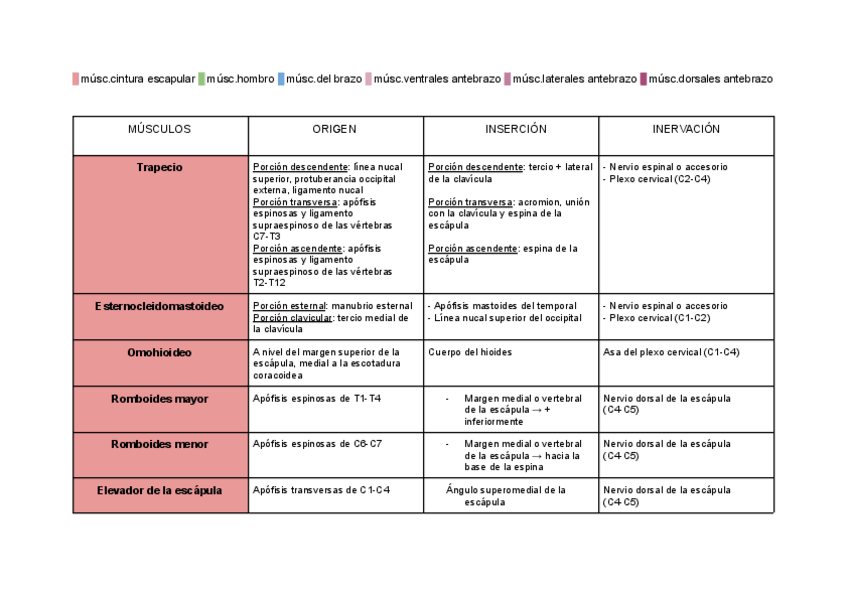 Miniatura del documento Documento-sin-titulo.pdf