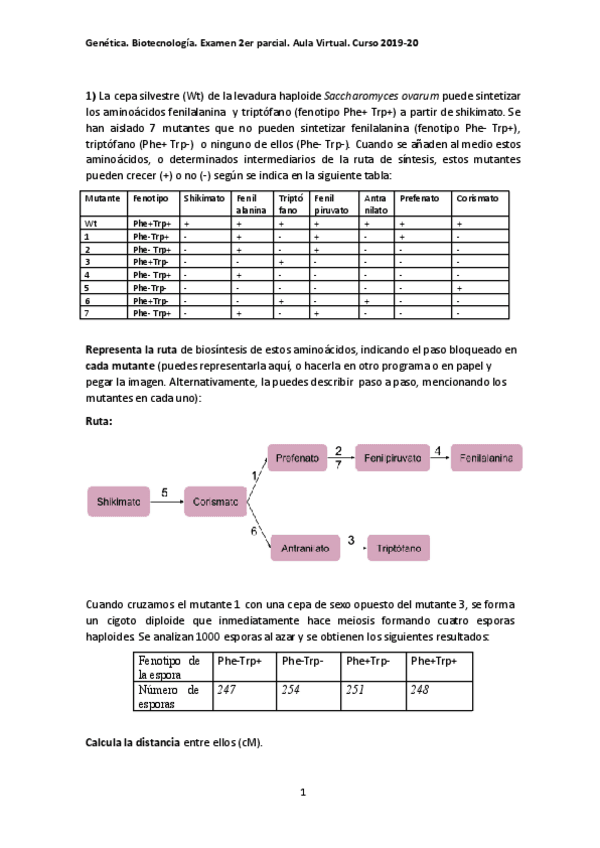 Miniatura del documento Examen-parcial-21.pdf