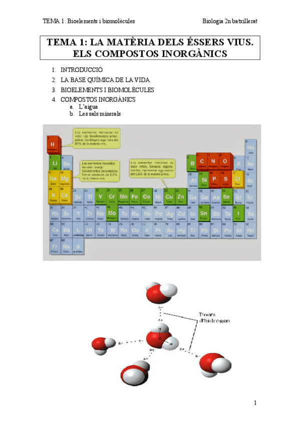 Miniatura del documento T1.pdf