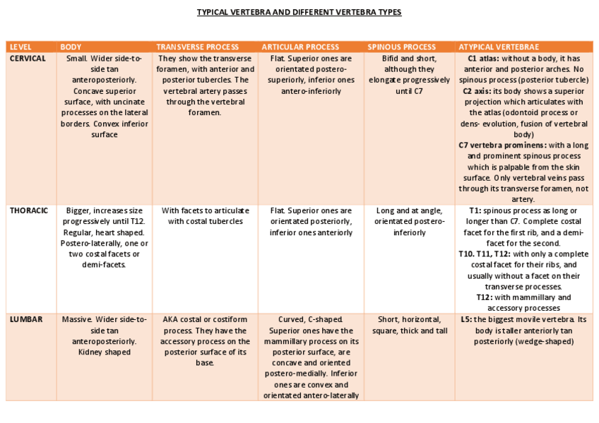 Miniatura del documento ANATOMIA-TABLAS.pdf