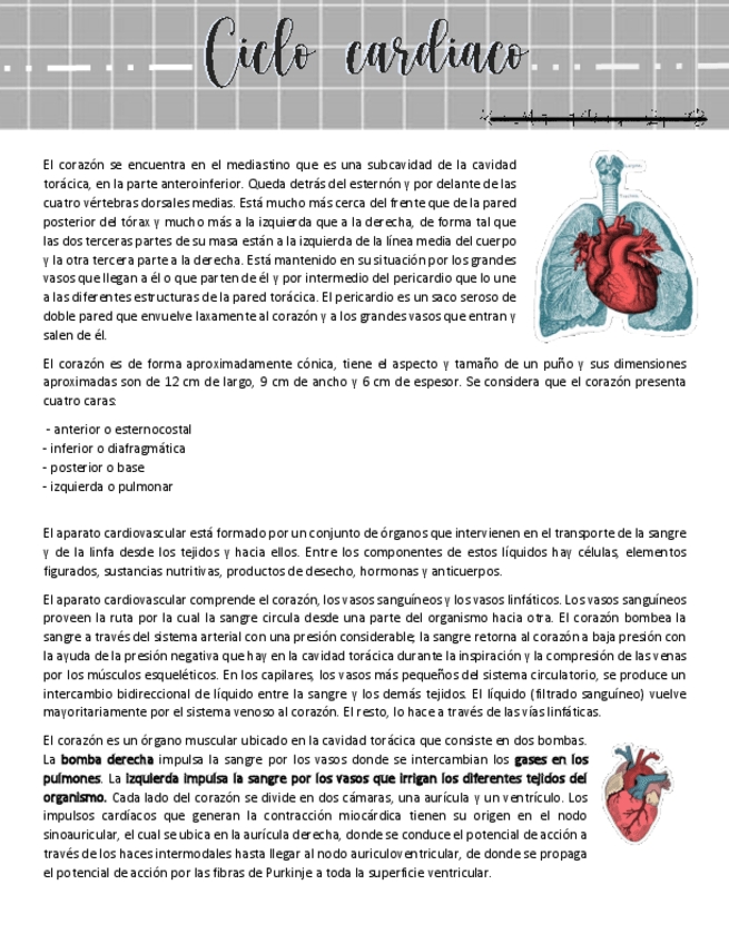 Miniatura del documento anat-resumen-cc.pdf