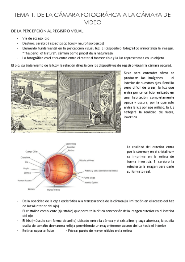 Miniatura del documento Tema-1-MAVIS.pdf