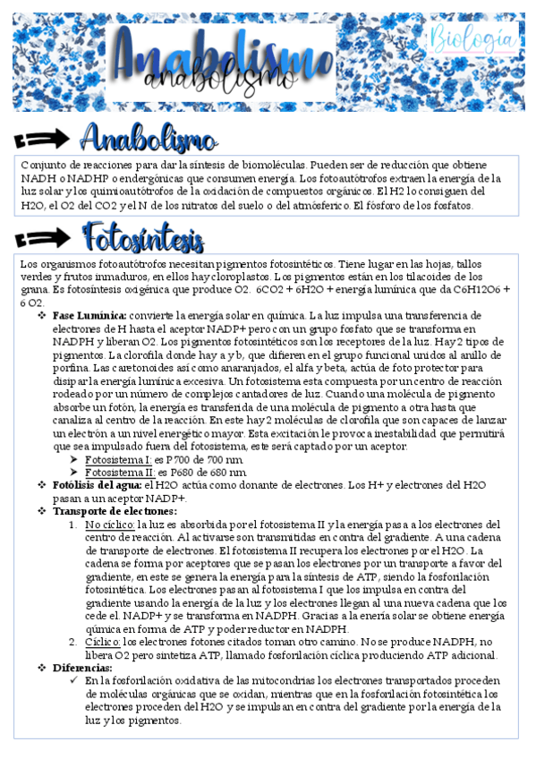 Miniatura del documento tema-10.pdf