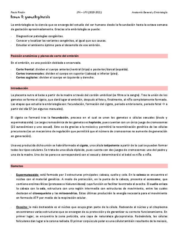 Miniatura del documento Anatomia-T1.pdf