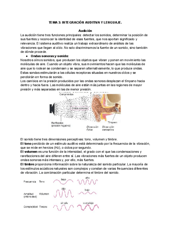 Miniatura del documento TEMA-3-INTEGRACION-AUDITIVA-Y-LENGUAJE.pdf