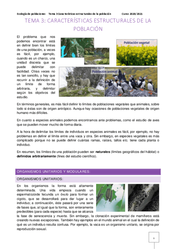 Miniatura del documento Tema-3-1.pdf