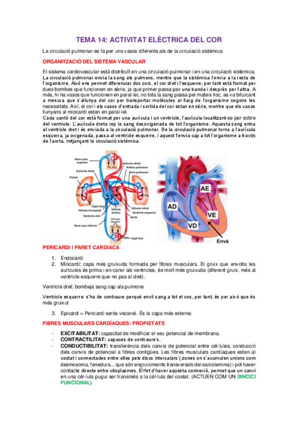 Miniatura del documento seminari-cor.pdf