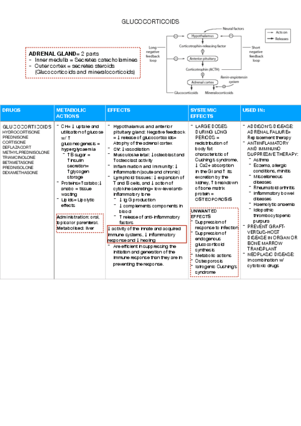 Miniatura del documento apuntes-farma-parte-2.pdf