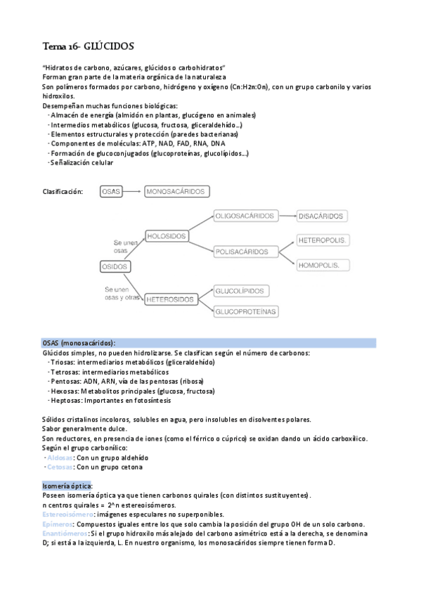 Miniatura del documento Tema-16-Glucidos.pdf