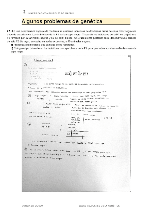 Miniatura del documento Algunos-problemas-de-genetica.docx