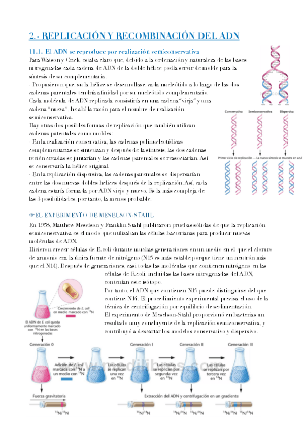 Miniatura del documento TEMA-2.pdf
