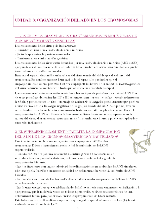 Miniatura del documento UNIDAD-3.pdf