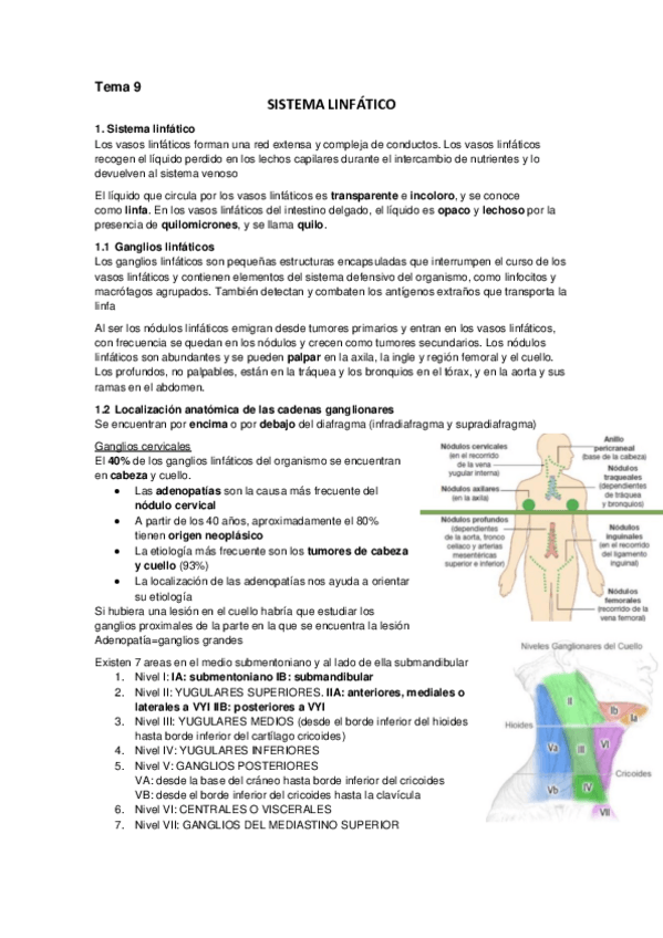 Miniatura del documento Tema 9 Sistema linfatico