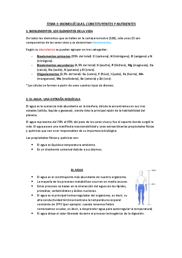 Miniatura del documento TEMA-1.pdf