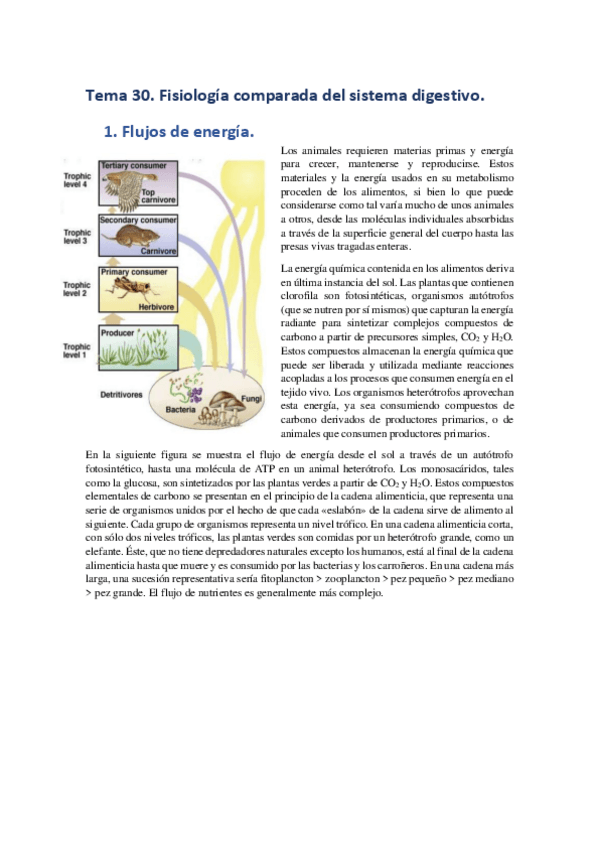 Miniatura del documento Tema-30.pdf
