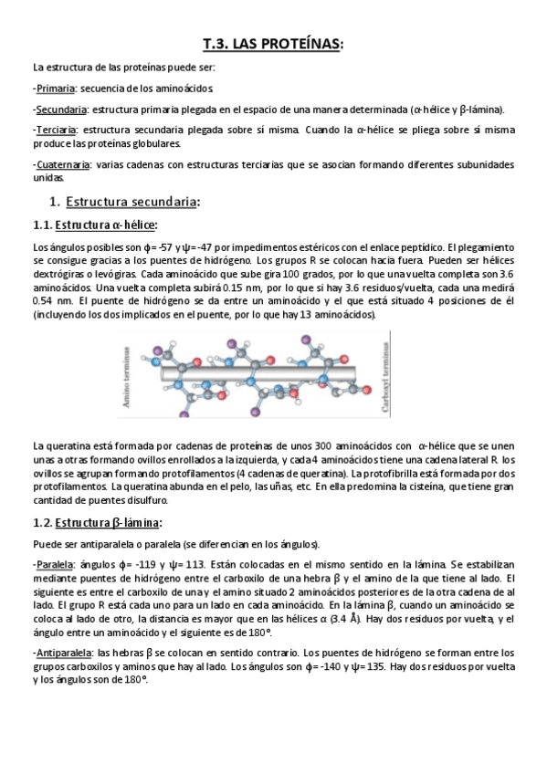 Miniatura del documento Tema 3. Las proteínas..pdf