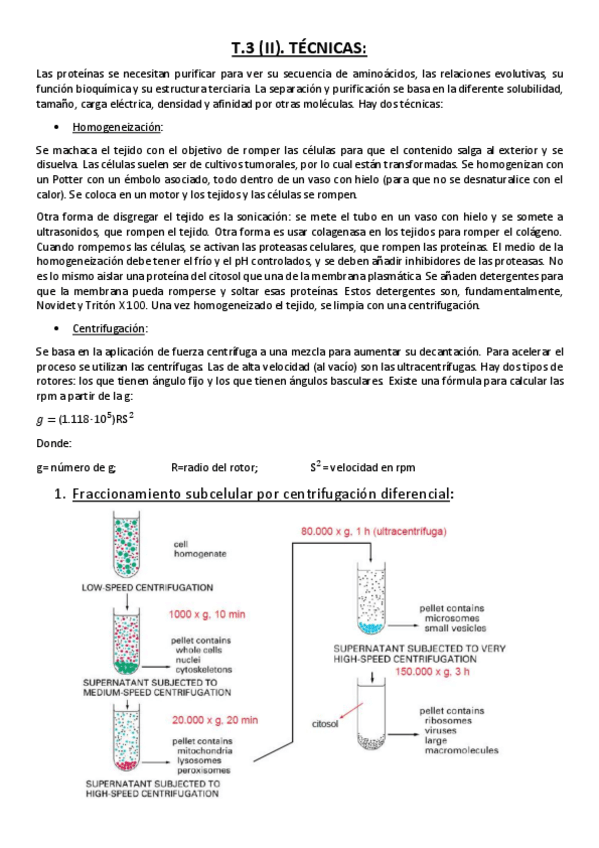 Miniatura del documento Tema 3 (II). Técnicas..pdf