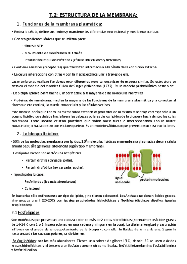Miniatura del documento Tema 2. Estructura de la membrana..pdf