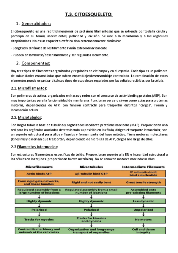 Miniatura del documento Tema 3. Citoesqueleto Microfilamentos..pdf