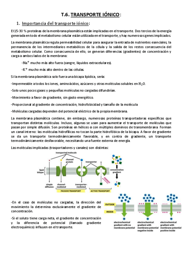 Miniatura del documento Tema 6. Transporte iónico..pdf