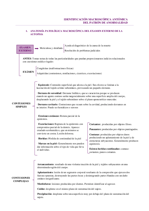 Miniatura del documento IDENTIFICACION-MACROSCOPICA-ANTOMICA.pdf