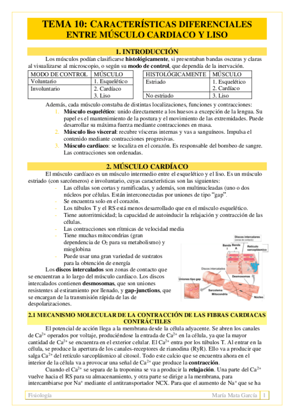 Miniatura del documento TEMA 10. Diferencias entre músculos