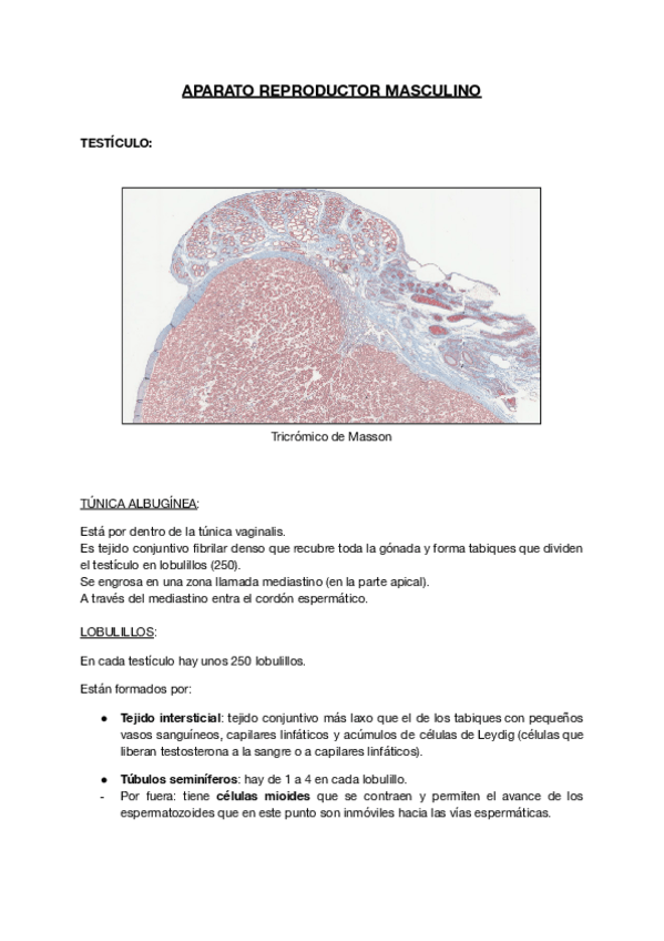 Miniatura del documento 9.pdf
