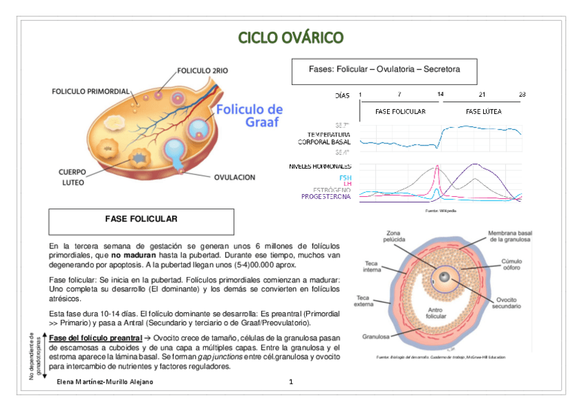 Miniatura del documento 1.pdf