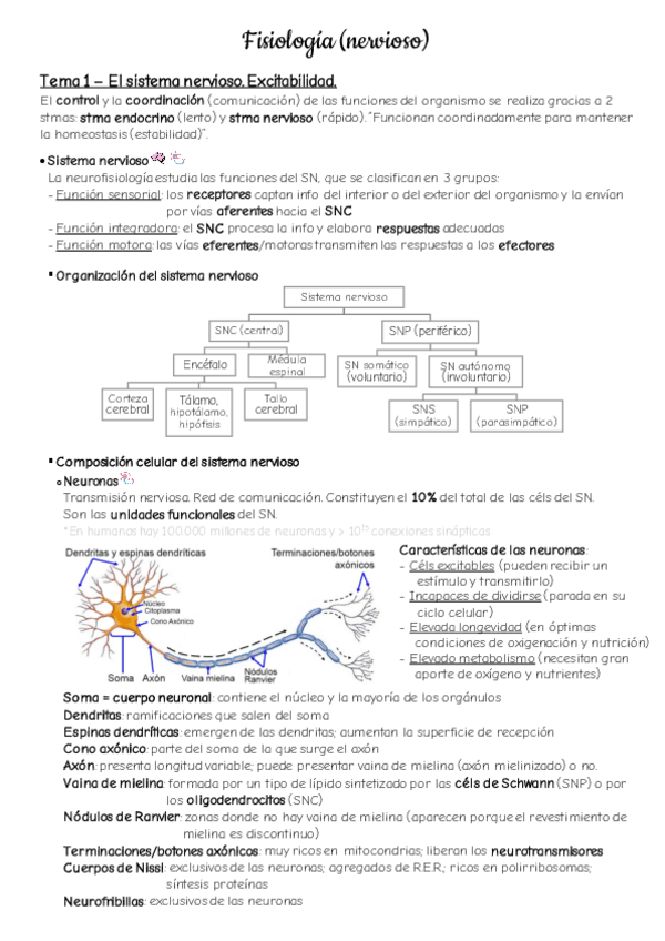 Miniatura del documento Apuntes-fisio-nervioso.pdf
