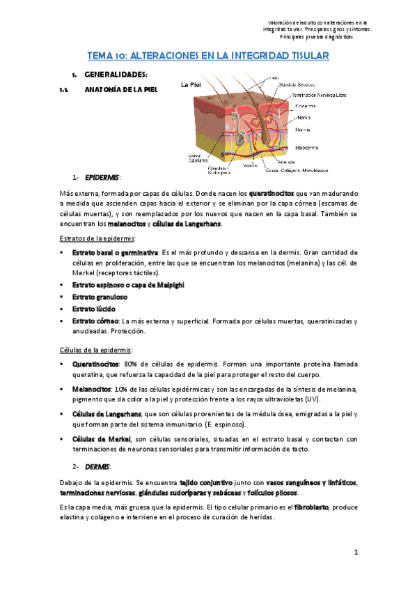 Miniatura del documento Tema-10.pdf