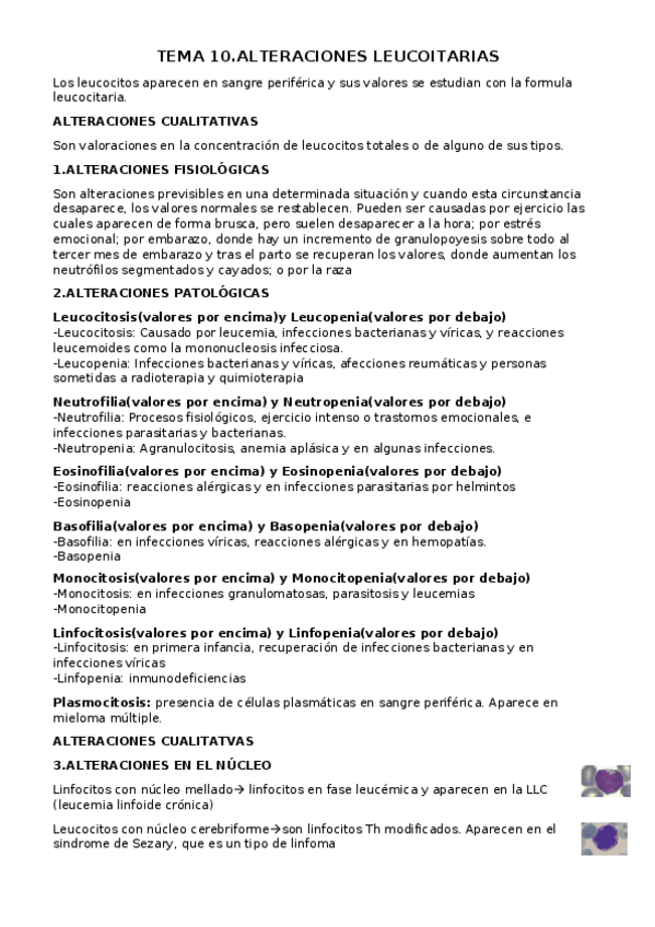 Miniatura del documento TEMA-10.docx