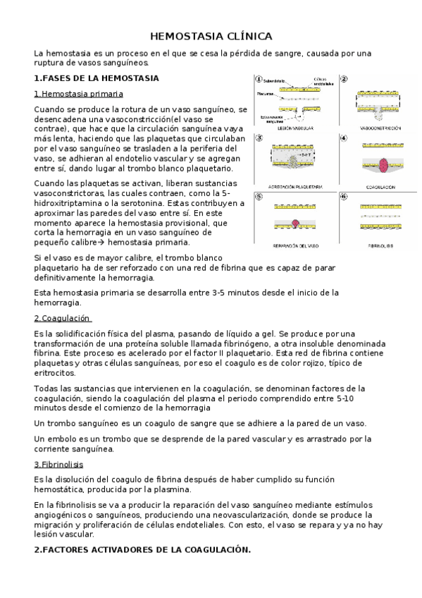 Miniatura del documento TEMA-14.docx