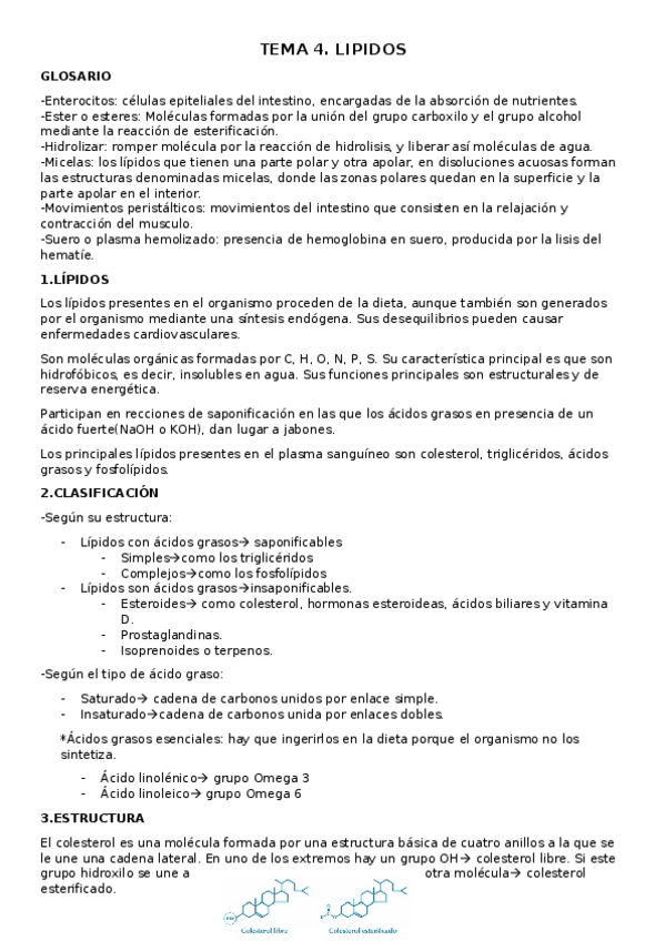 Miniatura del documento LIPIDOS.docx