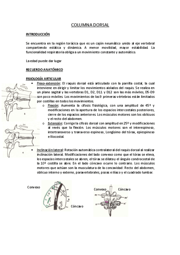 Miniatura del documento COLUMNA-DORSAL.pdf