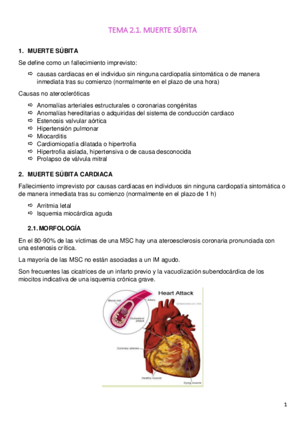 Miniatura del documento TEMA-2.pdf