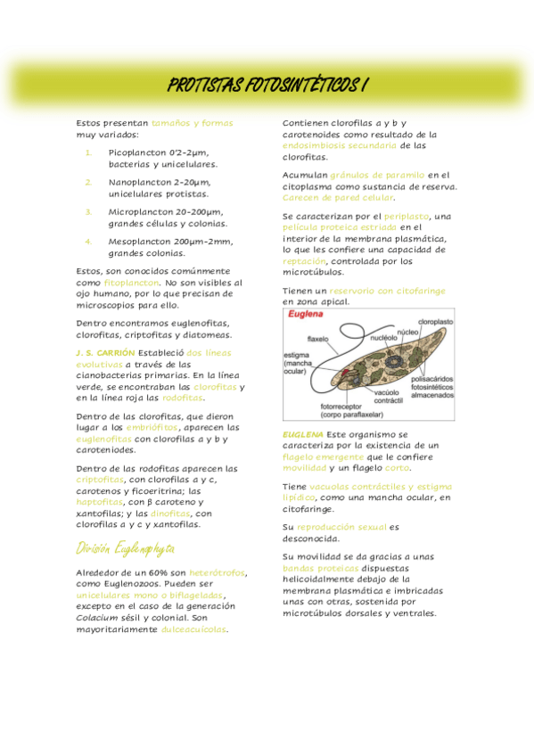Miniatura del documento Tema-17.pdf