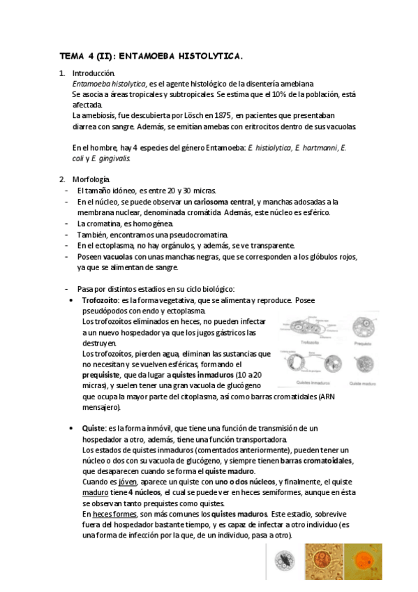 Miniatura del documento TEMA-4-II.pdf