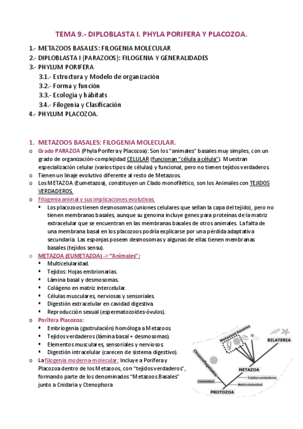 Miniatura del documento APUNTES-T.pdf
