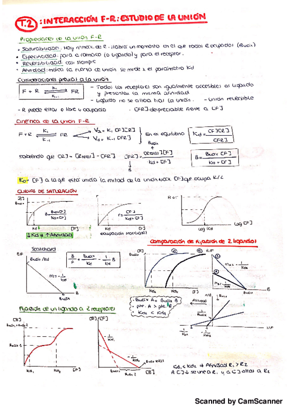 Miniatura del documento resúmenes farmacodinamia.pdf