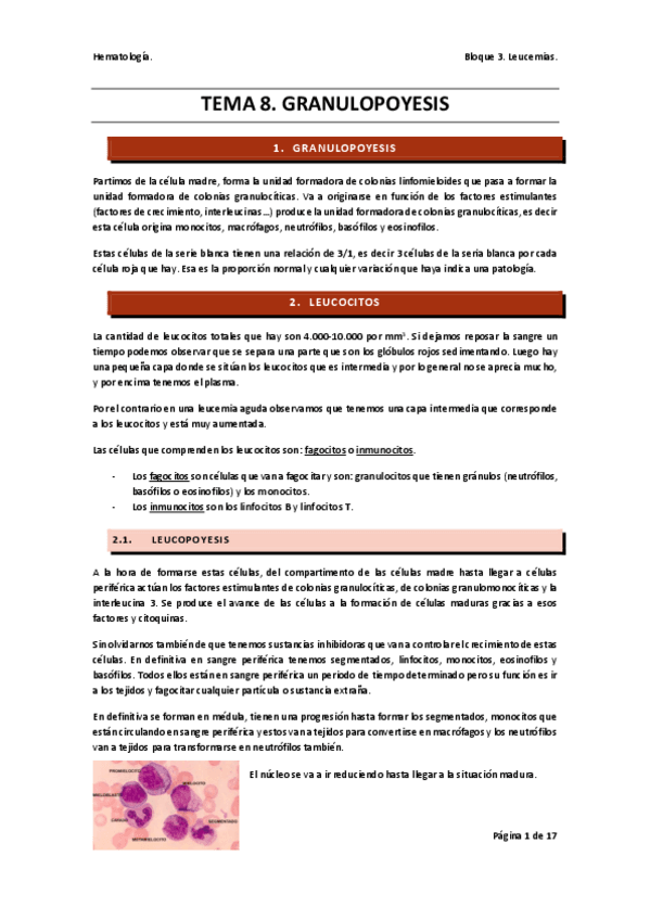 Miniatura del documento TEMA-8-hemato.pdf