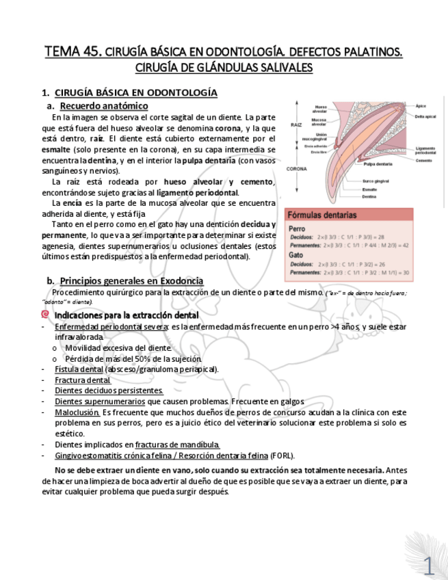 Miniatura del documento TEMA-45.pdf