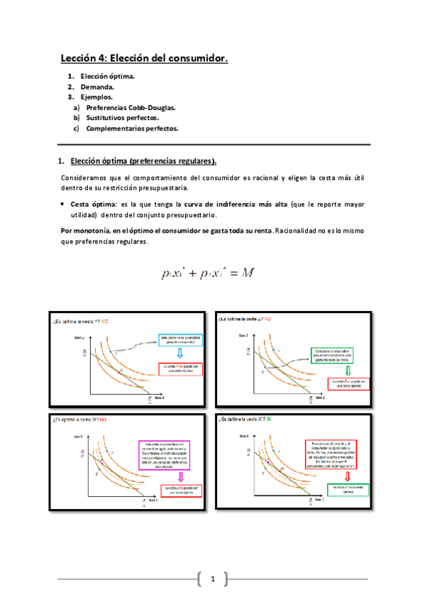 Miniatura del documento Lección 4. Elecciones del consumidor.pdf