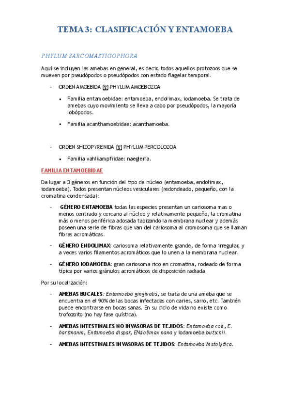 Miniatura del documento TEMA 3.CLASIFICACIÓN Y ENTAMOEBA.pdf