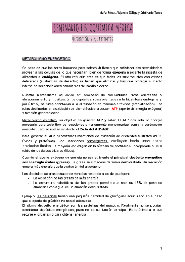 Miniatura del documento SEMINARIO-I-BIOQUIMICA-MEDICA.pdf