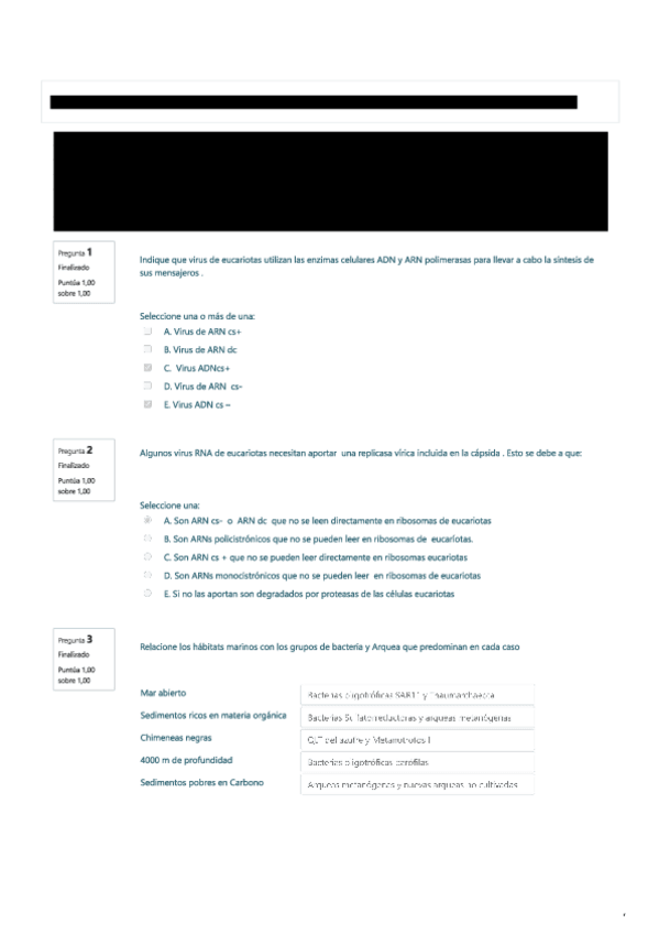 Miniatura del documento Final-micro-II-ines-2020.pdf